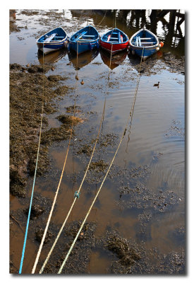 Barcas de Pesca - Fishing Boats