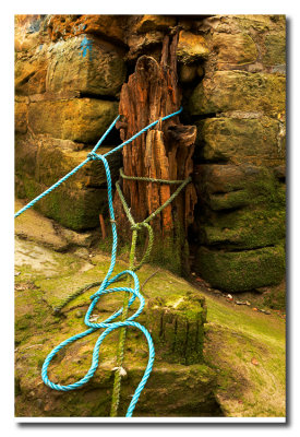 Viejo bolardo de madera - Old wood bollard