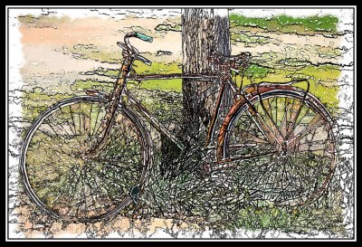 Bicicleta vieja -  Old bicycle