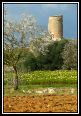 Torre  -  Tower
