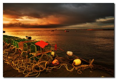 Artes de pesca de langosta - Lobster fishing gear