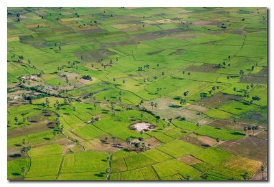 Campos alrededor de Vientiane  -  Fields near Vientiane