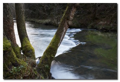 Presa en el rio Dale  -  Weir in the Dale