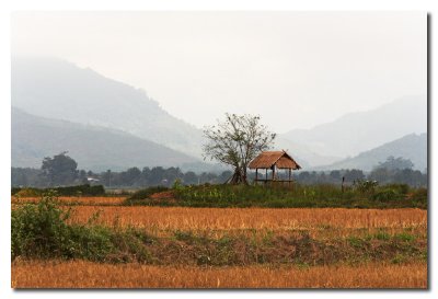 Paisaje en Laos  -  Landscape in Laos