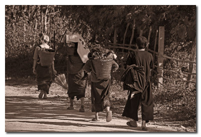 Caminando por las carreteras  -  Walking on the road