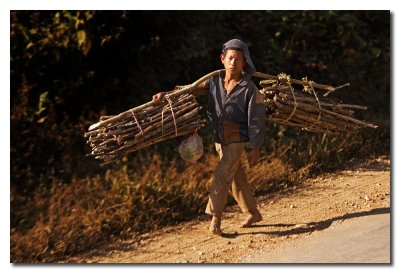 Nio cargando lea  -  Boy carrying wood