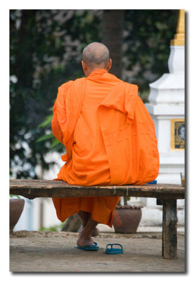 Monje Budista sentado  -   Buddhist monk