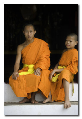 Monjes  -  Monks