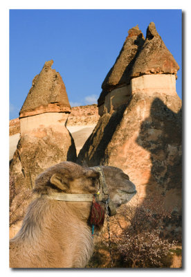 Camello  y Chimeneas Hadas - Camel and Fairy Chimneys