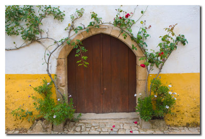 Puerta y Rosas  -  Door and Roses