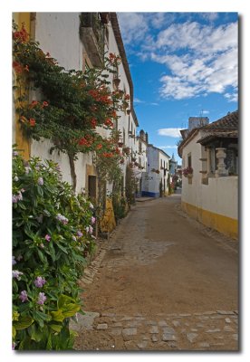 Calle florida  -  Flowery street