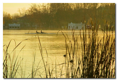 Remeros al amanecer  -  Rowers at daybreak