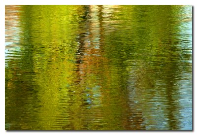 Reflejo en el lago - Reflection on the water