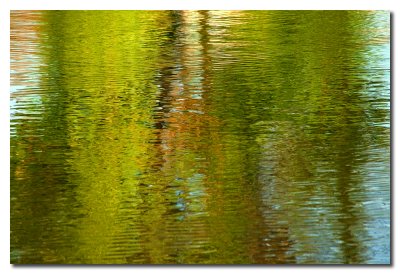 Reflejo en el lago -  Reflection on the water