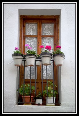 Balcon florido  -  Flowered balcony