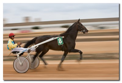 45 Carrera de trotones - Harness racing