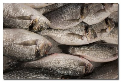Pescados en el mercado - Fish Market