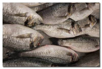 Pescados en el mercado  -  Fish Market