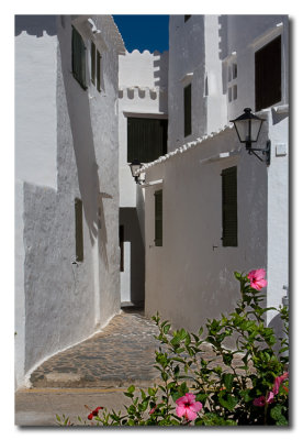 Los blancos de Menorca - Menorca whites