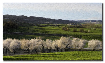 Oleo Almendros en flor  -  Oil flowered almond trees