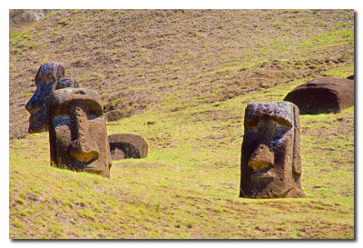 Moais enterrados en Rano Rarako  -  Buried Moais in Rano Rarako