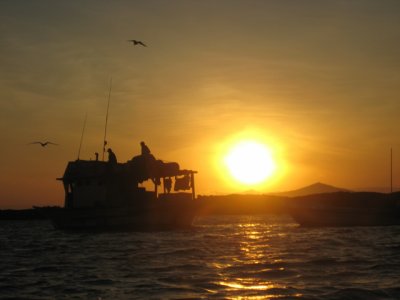 Seascapes