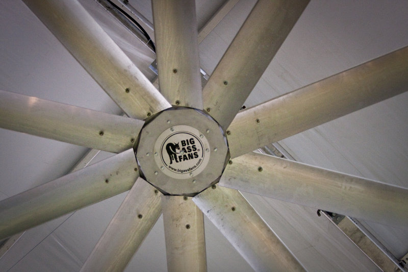  Radial