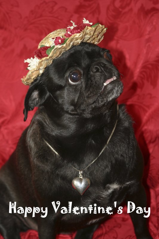 All dressed up and nowhere to go...