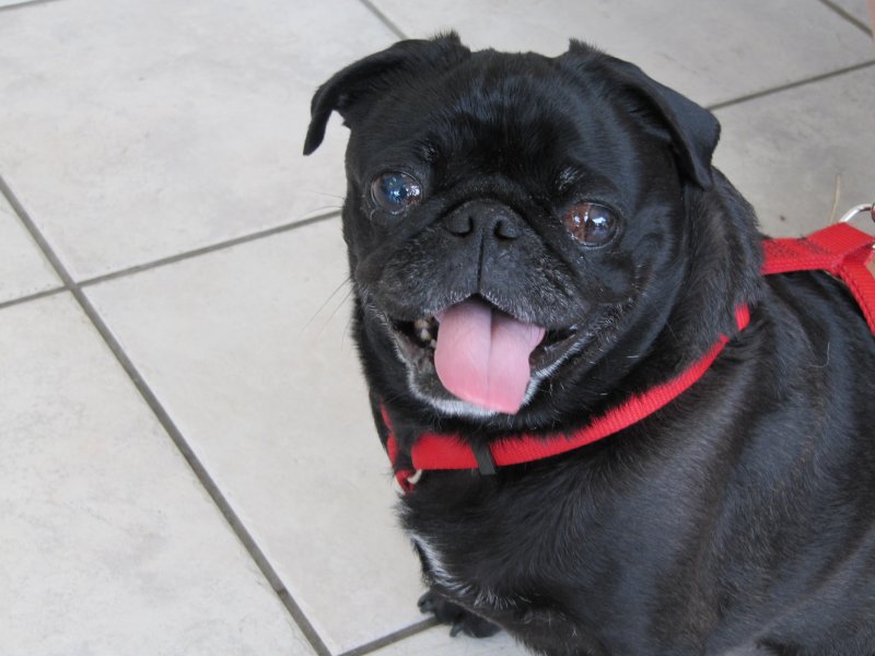 Im ready for my walk now...