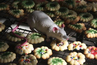 Lala... there's a mouse eating my cookies!