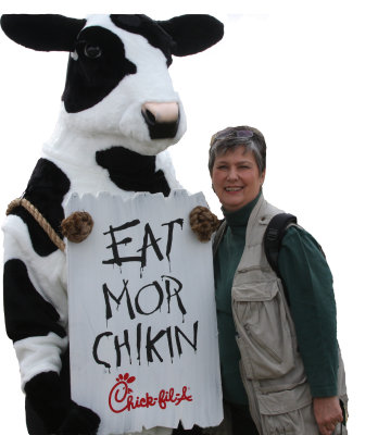 Eat More Chikin