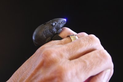 So... do you like my light-up rat ring?