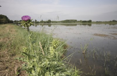 We leave the Camargue and head on down the road...