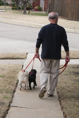 Ms. Bailey always walks next to Barnum...