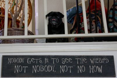 Nobody gets in to see the wizard.   Not nobody.  Not no how.