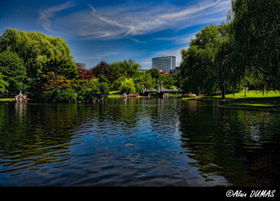 Boston Common Lagoon