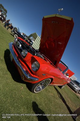 DSC_0103.jpg