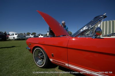 DSC_0104.jpg