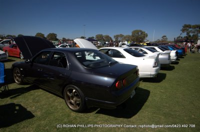 DSC_0106.jpg