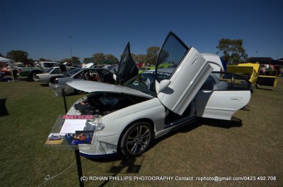 DSC_0113.jpg