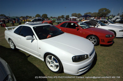 DSC_0151.jpg