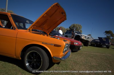 DSC_0165.jpg