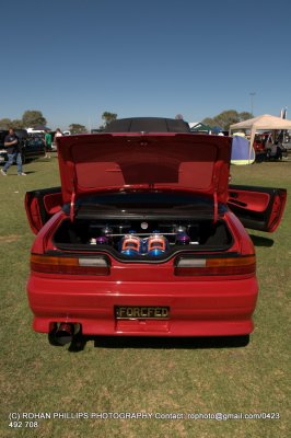DSC_6683.jpg