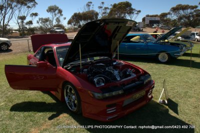 DSC_6695.jpg