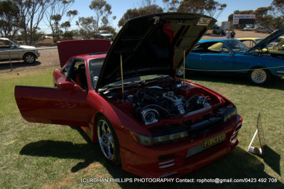 DSC_6696.jpg