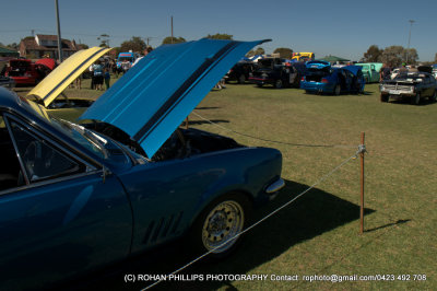 DSC_6698.jpg