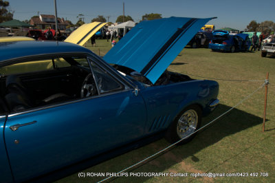 DSC_6699.jpg