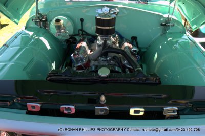 DSC_6723.jpg