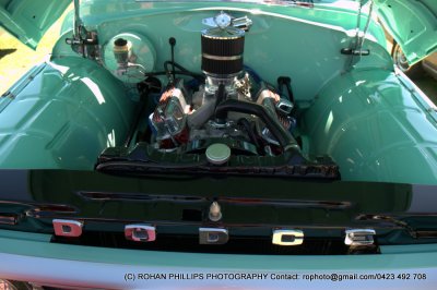 DSC_6724.jpg