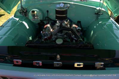 DSC_6725.jpg
